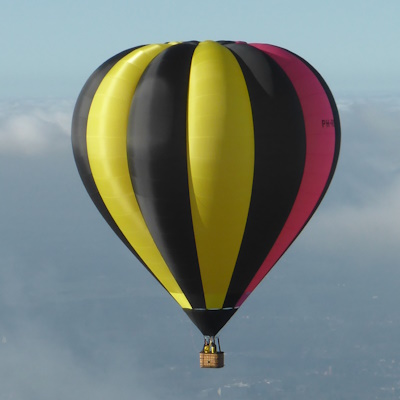 ballonvaart met de wesp luchtballon