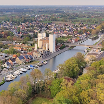 Bloemmolens Geel Ten Aard