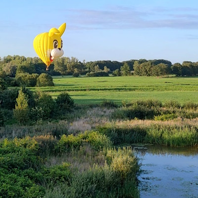 Funny Bunny luchtballon