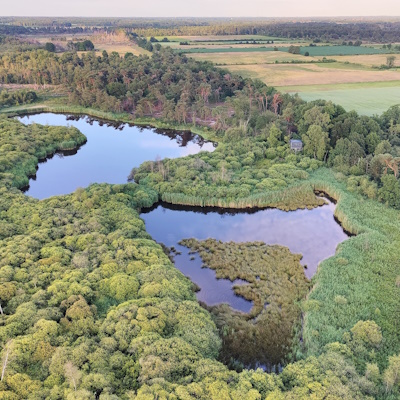 Ontdek de natuur vanuit de luchtballon